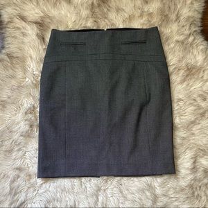 Express High Waisted Skirt